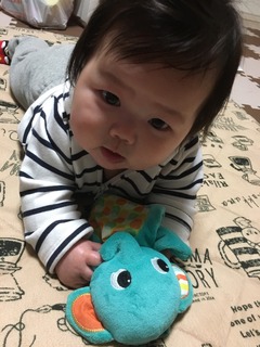 西田もにか様@.jpeg